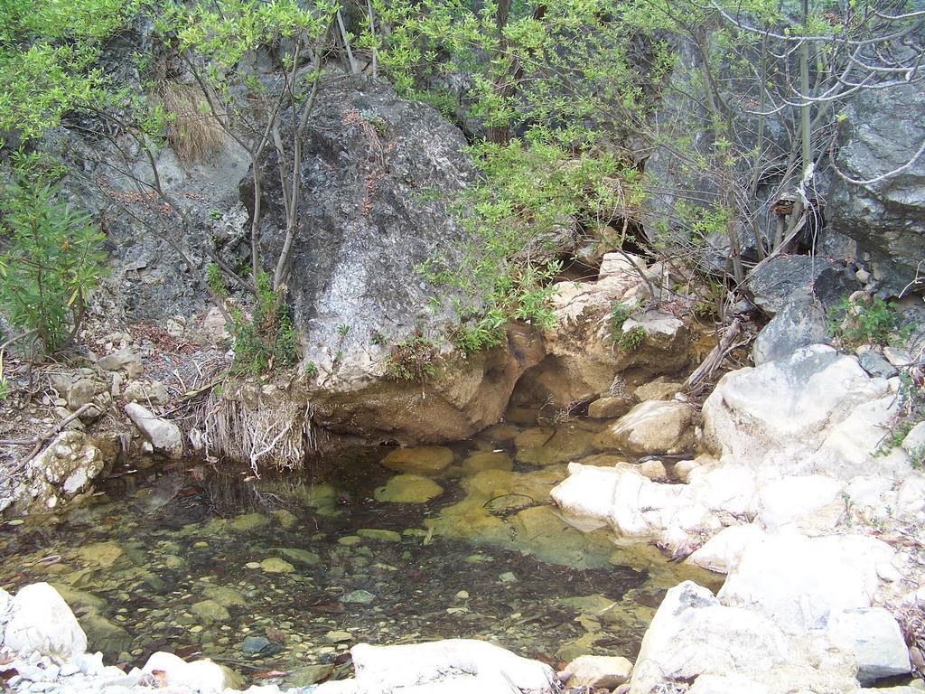 Alozaina 桑戈塞拉德拉斯涅韦斯旅舍旅舍 外观 照片